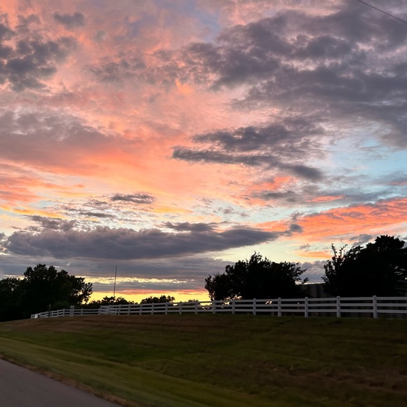 Meet your Posher, Elizabeth - Picture 1 of 1